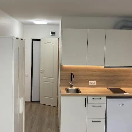 Small Studio Close To Centraal Station Apartmán Vilnius